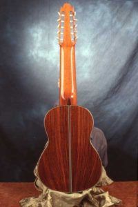 Ten string guitar by Arnie Gamble.